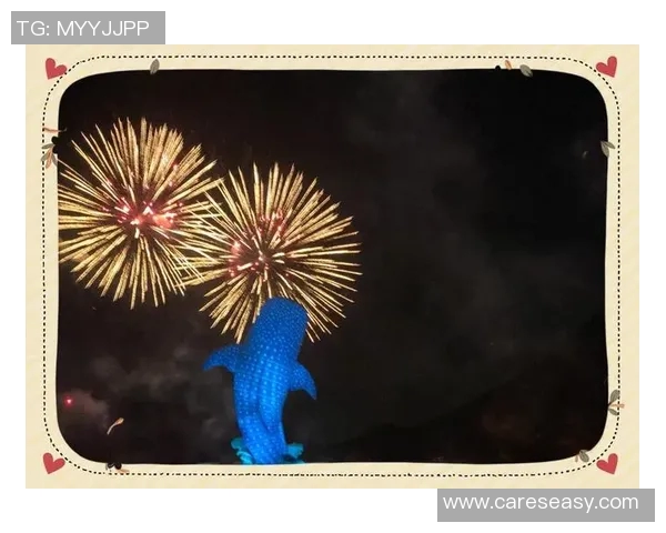 比赛获赛的秘密-揭秘比赛获胜的秘密-比赛获赛的秘密