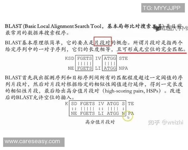 blast比赛机制-探究Blast比赛机制-blast比赛机制
